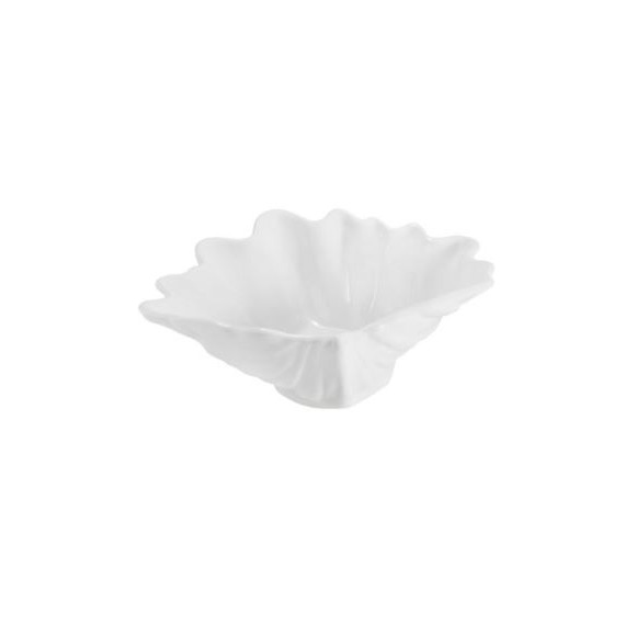 ROYALE CONCHIGLIA TROPICALE  CM.28 H.8E5 -1-